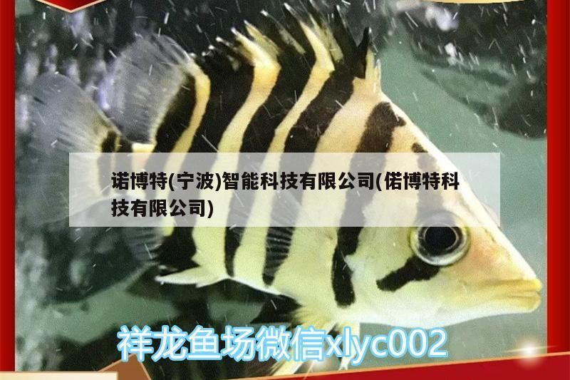 老魚(yú)匠造浪泵夜間模式干什么用（老魚(yú)匠造浪泵用哪個(gè)模式）