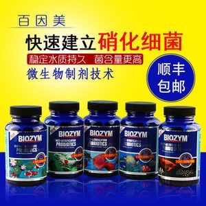 有哪些方法可以養(yǎng)護(hù)龍魚后三鰭,魚后三鰭養(yǎng)護(hù)龍魚后三鰭的養(yǎng)護(hù)方法主要包括以下幾個方法 龍魚百科 第2張 有哪些方法可以養(yǎng)護(hù)龍魚后三鰭,魚后三鰭養(yǎng)護(hù)龍魚后三鰭的養(yǎng)護(hù)方法主要包括以下幾個方法 有哪些方法可以養(yǎng)護(hù)龍魚后三鰭,魚后三鰭養(yǎng)護(hù)龍魚后三鰭的養(yǎng)護(hù)方法主要包括以下幾個方法 龍魚百科 第2張