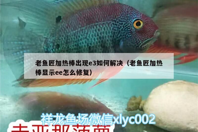 老魚匠加熱棒出現e3如何解決（老魚匠加熱棒顯示ee怎么修復）