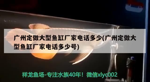 觀賞魚 廣州定做大型魚缸廠家電話多少(廣州定做大型魚缸廠家電話多少號) 可麗愛魚缸 廣州定做大型魚缸廠家電話多少(廣州定做大型魚缸廠家電話多少號) 廣州定做大型魚缸廠家電話多少(廣州定做大型魚缸廠家電話多少號) 可麗愛魚缸