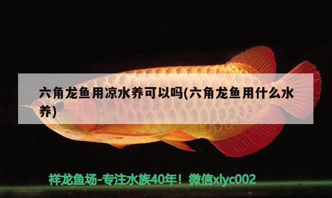 吉印智能水族app（吉印智能水族） 吉印智能水族app（吉印智能水族） 九鼎魚缸