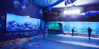 水族館設(shè)備有哪些:水族館智能溫控系統(tǒng)介紹水族箱專用膠水使用技巧 水族館百科(水族館加盟) 第3張 水族館設(shè)備有哪些:水族館智能溫控系統(tǒng)介紹水族箱專用膠水使用技巧 水族館設(shè)備有哪些:水族館智能溫控系統(tǒng)介紹水族箱專用膠水使用技巧 水族館百科(水族館加盟) 第3張