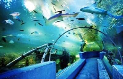 水族館設(shè)備有哪些:水族館智能溫控系統(tǒng)介紹水族箱專用膠水使用技巧 水族館百科(水族館加盟) 第4張 水族館設(shè)備有哪些:水族館智能溫控系統(tǒng)介紹水族箱專用膠水使用技巧 水族館設(shè)備有哪些:水族館智能溫控系統(tǒng)介紹水族箱專用膠水使用技巧 水族館百科(水族館加盟) 第4張