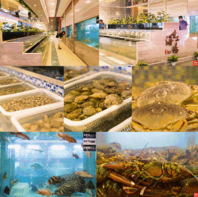 水族館名字（世界著名水族館特色介紹水族館名字及其背后的故事） 水族館名字（世界著名水族館特色介紹水族館名字及其背后的故事） 水族館百科（水族館加盟） 第4張