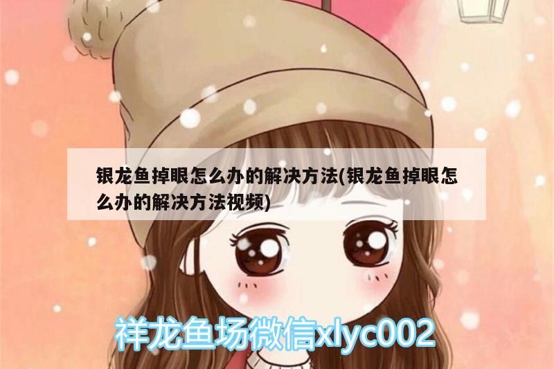 銀龍魚掉眼怎么辦的解決方法(銀龍魚掉眼怎么辦的解決方法視頻)