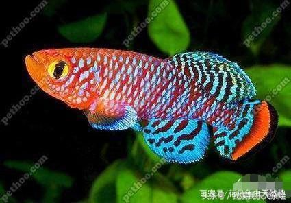 光特億加熱棒質(zhì)保多久啊（光特億加熱棒質(zhì)保多久啊多少錢(qián)）