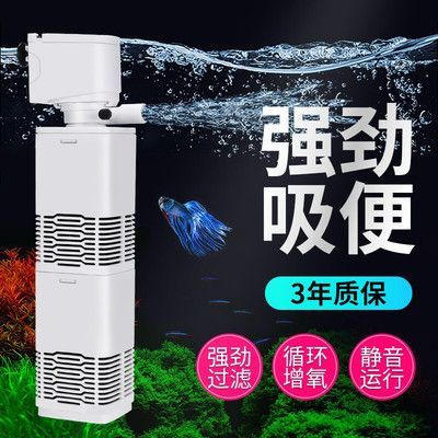 龍魚(yú)的養(yǎng)護(hù)與鑒賞作文400字vs祥龍魚(yú)場(chǎng)：龍魚(yú)的養(yǎng)護(hù)與鑒賞 龍魚(yú)的養(yǎng)護(hù)與鑒賞作文400字vs祥龍魚(yú)場(chǎng)：龍魚(yú)的養(yǎng)護(hù)與鑒賞 vs祥龍魚(yú)場(chǎng) 第5張
