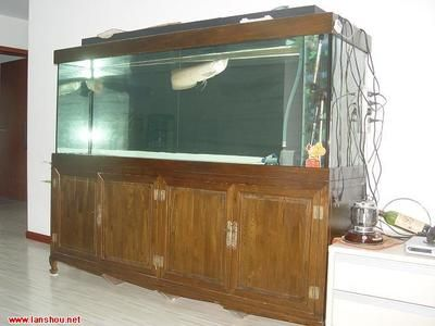 2米高魚(yú)缸：2米高的魚(yú)缸在家居中較為罕見(jiàn)，可能會(huì)讓小孩沒(méi)有安全感