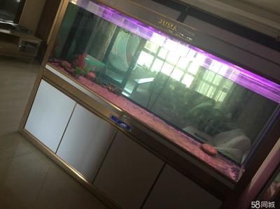 2米高魚(yú)缸：2米高的魚(yú)缸在家居中較為罕見(jiàn)，可能會(huì)讓小孩沒(méi)有安全感