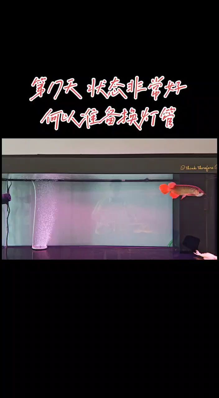 穏了[guzhang]