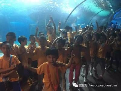 開個水族館的艱難生活視頻：關(guān)于開個水族館的艱難生活