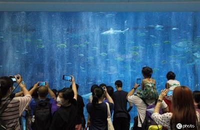 開個水族館的艱難生活視頻：關(guān)于開個水族館的艱難生活