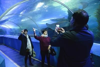 開個水族館的艱難生活視頻：關于開個水族館的艱難生活 開個水族館的艱難生活視頻：關于開個水族館的艱難生活 水族館百科（水族館加盟） 第4張