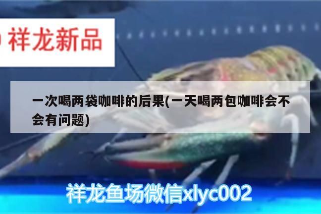 一次喝兩袋咖啡的后果(一天喝兩包咖啡會不會有問題)