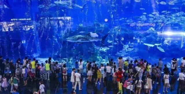 成都水族館門票：成都水族館游客評價匯總成都水族館優惠活動查詢 成都水族館門票：成都水族館游客評價匯總成都水族館優惠活動查詢 水族館百科（水族館加盟） 第1張