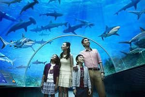 成都水族館門票：成都水族館游客評價匯總成都水族館優惠活動查詢 成都水族館門票：成都水族館游客評價匯總成都水族館優惠活動查詢 水族館百科（水族館加盟） 第2張