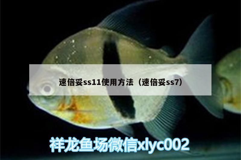 速倍妥ss11使用方法（速倍妥ss7） 速倍妥ss11使用方法（速倍妥ss7） 速倍妥 第1張
