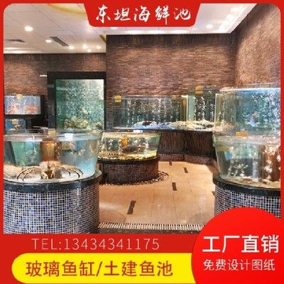 赤血紅龍魚生長過程圖片視頻講解（赤血紅龍魚生長過程圖片視頻講解大全）