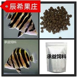 5公分的虎魚喂什么飼料長得快：5公分的虎魚喂什么飼料長得快5公分的虎魚喂什么飼料長得快