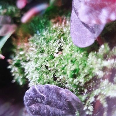 創寧水族用品有限公司：創寧水族用品有限公司成立于2021年5月21日的寵物用品企業