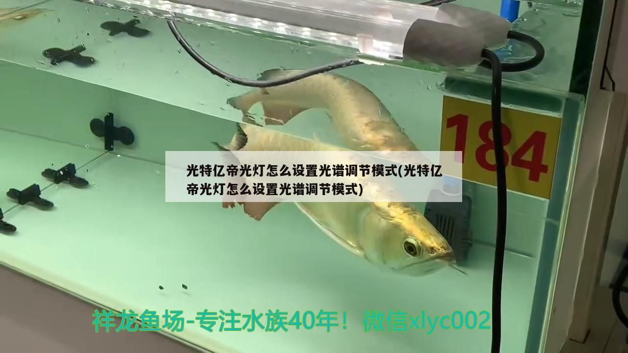 光特億帝光燈怎么設置光譜調節模式(光特億帝光燈怎么設置光譜調節模式)
