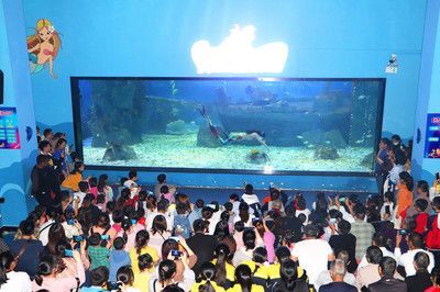 30厘米的魚缸造景多少錢：30厘米魚缸造景價格 30厘米的魚缸造景多少錢：30厘米魚缸造景價格 魚缸百科 第1張