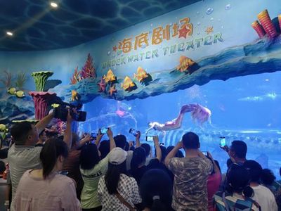 30厘米的魚缸造景多少錢：30厘米魚缸造景價格 30厘米的魚缸造景多少錢：30厘米魚缸造景價格 魚缸百科 第4張
