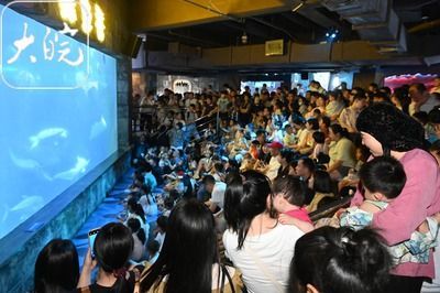 30厘米的魚缸造景多少錢：30厘米魚缸造景價格 30厘米的魚缸造景多少錢：30厘米魚缸造景價格 魚缸百科 第6張