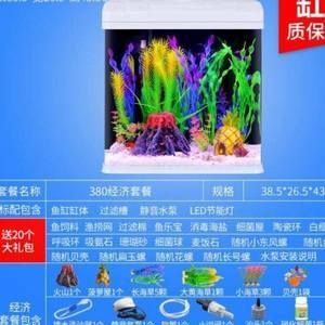 9條小魚需要多大的魚缸呢：26篇小魚缸尺寸養(yǎng)小魚缸推薦9條小魚需要多大的魚缸 9條小魚需要多大的魚缸呢：26篇小魚缸尺寸養(yǎng)小魚缸推薦9條小魚需要多大的魚缸 魚缸百科 第1張