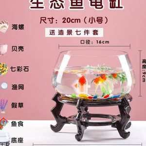 9條小魚需要多大的魚缸呢：26篇小魚缸尺寸養(yǎng)小魚缸推薦9條小魚需要多大的魚缸 9條小魚需要多大的魚缸呢：26篇小魚缸尺寸養(yǎng)小魚缸推薦9條小魚需要多大的魚缸 魚缸百科 第4張