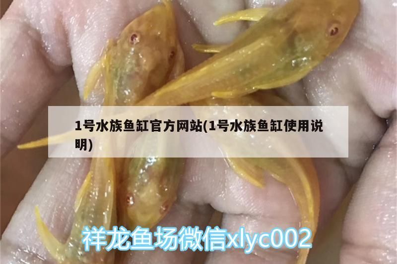 1號水族魚缸官方網站(1號水族魚缸使用說明)