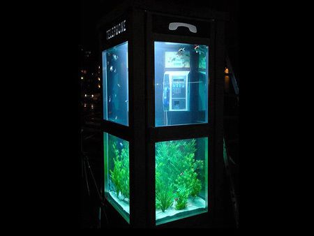 有創意的水族館名字有哪些（水族館名字怎么取取？）