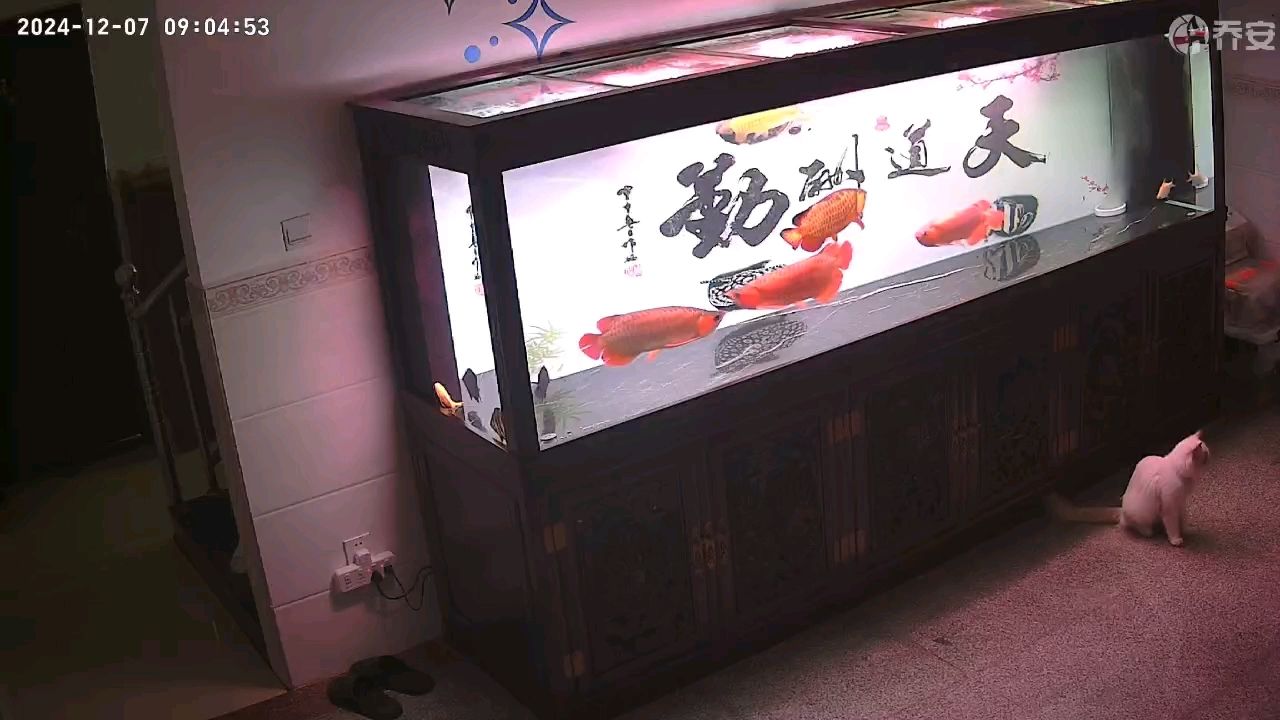 監控下的效果