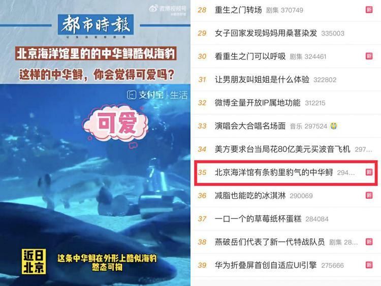 開水族館需要多少錢一個月(開設一個水族館所需費用的大概概覽) 水族館百科(水族館加盟) 第4張 開水族館需要多少錢一個月(開設一個水族館所需費用的大概概覽) 開水族館需要多少錢一個月(開設一個水族館所需費用的大概概覽) 水族館百科(水族館加盟) 第4張