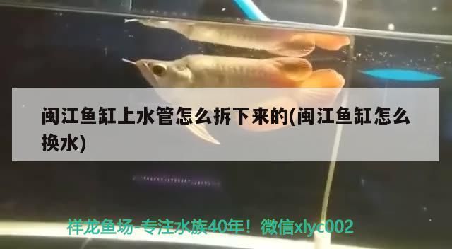 閩江魚缸上水管怎么拆下來的(閩江魚缸怎么換水)