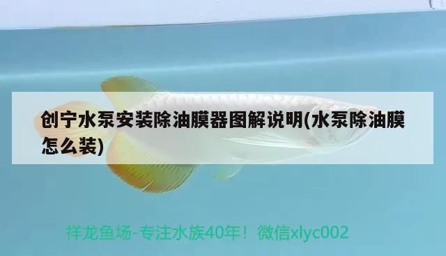 創寧水泵安裝除油膜器圖解說明(水泵除油膜怎么裝)