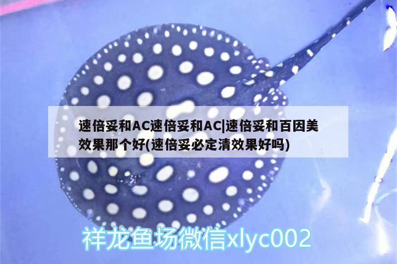 速倍妥和AC速倍妥和AC|速倍妥和百因美效果那個好(速倍妥必定清效果好嗎) 速倍妥和AC速倍妥和AC|速倍妥和百因美效果那個好(速倍妥必定清效果好嗎) 速倍妥