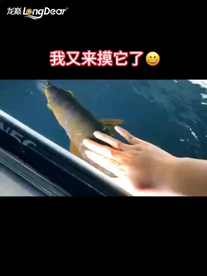 轉(zhuǎn)發(fā)613