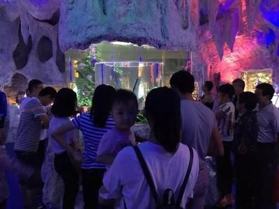 水族館干嘛的（水族館是什么？）