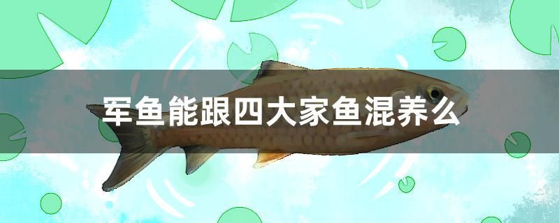 軍魚能跟四大家魚混養么