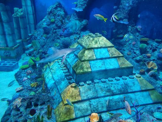 海南哪里有海洋水族館：亞龍灣海底世界門票價格