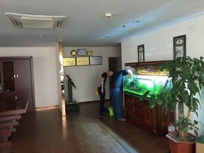 水族館去哪里拿貨好（邯鄲觀賞魚市場進貨攻略邯鄲觀賞魚市場進貨攻略） 水族館去哪里拿貨好（邯鄲觀賞魚市場進貨攻略邯鄲觀賞魚市場進貨攻略） 水族館百科（水族館加盟） 第5張