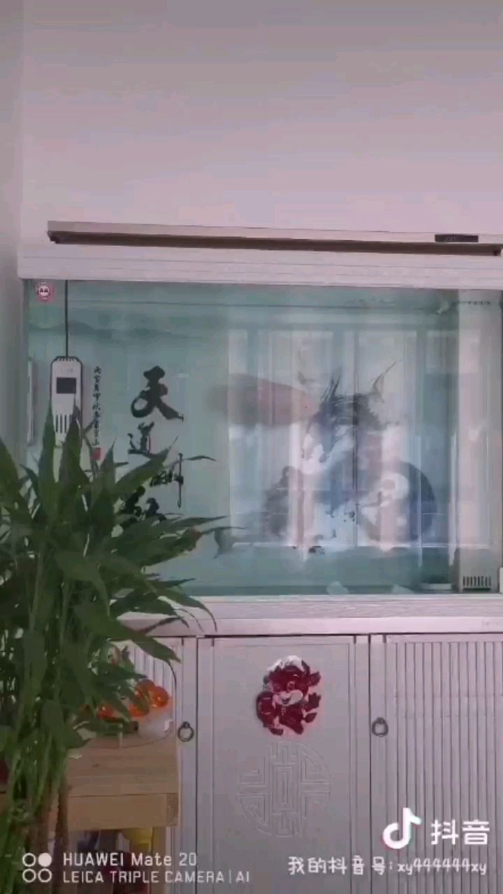 圍場滿族蒙古族自治縣圍場鎮米蘭花店 圍場滿族蒙古族自治縣圍場鎮米蘭花店 全國水族館企業名錄 第2張