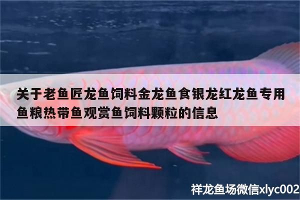 詳細(xì)閱讀:關(guān)于老魚(yú)匠龍魚(yú)飼料金龍魚(yú)食銀龍紅龍魚(yú)專(zhuān)用魚(yú)糧熱帶魚(yú)觀賞魚(yú)飼料顆粒的信息 關(guān)于老魚(yú)匠龍魚(yú)飼料金龍魚(yú)食銀龍紅龍魚(yú)專(zhuān)用魚(yú)糧熱帶魚(yú)觀賞魚(yú)飼料顆粒的信息