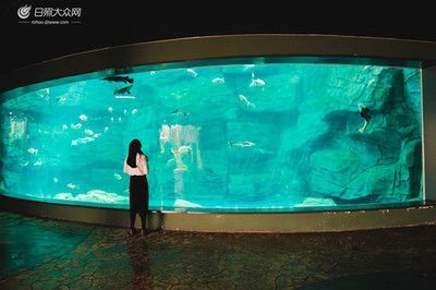 水族館是什么樣子：上海海洋水族館