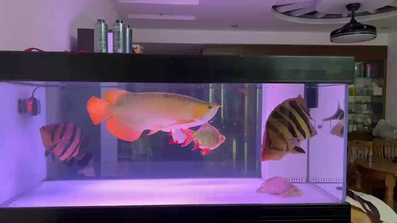 休閑的小周末！