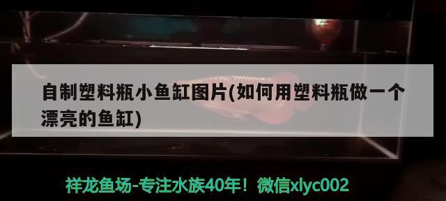 許昌哪里賣(mài)魚(yú)缸便宜又好看 許昌哪里賣(mài)魚(yú)缸便宜又好看的 許昌哪里賣(mài)魚(yú)缸便宜又好看 許昌哪里賣(mài)魚(yú)缸便宜又好看的 伊罕水族 第2張
