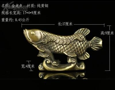 金龍魚藝術作品的風水寓意：金龍魚在不同場景下的風水寓意豐富且深植于中國傳統文化之中 金龍魚藝術作品的風水寓意：金龍魚在不同場景下的風水寓意豐富且深植于中國傳統文化之中 金龍魚百科 第4張