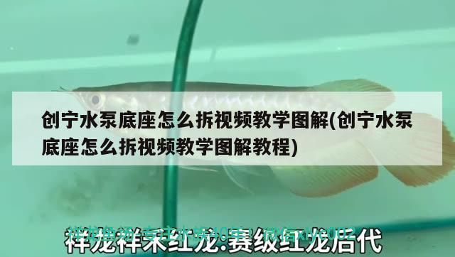 創寧水泵底座怎么拆視頻教學圖解(創寧水泵底座怎么拆視頻教學圖解教程)