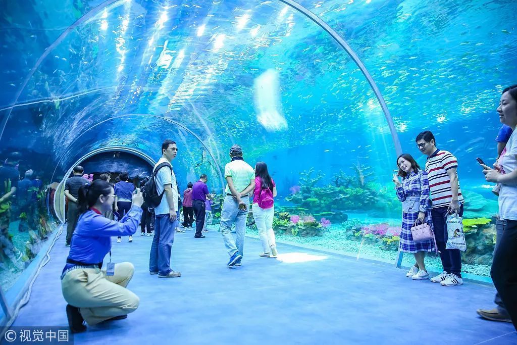 水族館行業投資機會分析（水族館行業發展前景如何？）